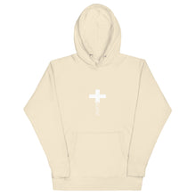 Load image into Gallery viewer, Greater Than The Highs And Lows | Unisex Hoodie
